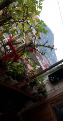 Daire 84 m² Daire - Svişçevski, Batumi, Gürcistan