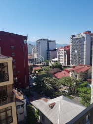 Daire 2-oda 48 m² - Vakhtang Gorgasali, Batumi