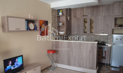 Daire 3-oda 64 m² - Şalva Inasaridze, Batumi