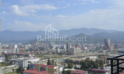 Daire 31 m² Daire - Niko Pirosmani, Batumi, Gürcistan