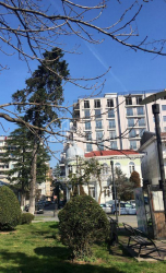 Daire 1-oda 45 m² - David Kdiaşvili, Batumi