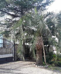 Daire 52 m² Daire - Yurievskaya, Batumi, Gürcistan