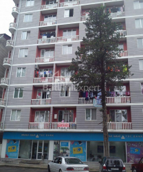 Daire 47 m² Daire - Vakhtang Gorgasali, Batumi, Gürcistan