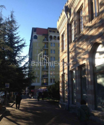 Daire 2-oda 58 m² - İlya Çavçavadze, Batumi