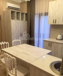 Daire 2-oda 50 m² - Vakhtang Gorgasali, Batumi