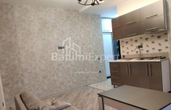 Daire 2-oda 40 m² - Niko Pirosmani, Batumi