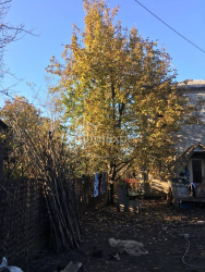 Arsa 900 m² Daire - Cemala Katamadze, Batumi, Gürcistan