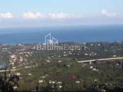 Mesken 6-oda 5000 m² - Mezgvarta, Chakvi