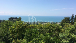 Mesken 4000 m² Daire - David Agmashenebeli, Kobuleti, Gürcistan