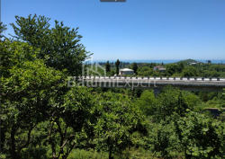 Arsa 536 m² Daire - Ağmaşenebeli, Chakvi, Gürcistan