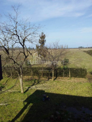 Arsa 4260 m² - David Agmashenebeli, Kobuleti