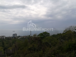Arsa 1000 m² - Ahalgazrdoba, Makhinjauri