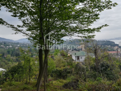 Arsa 1000 m² - Ahalgazrdoba, Makhinjauri