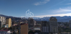 Daire 31.3 m² Daire - Şalva Inasaridze, Batumi, Gürcistan