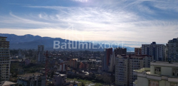 Daire 31.3 m² Daire - Şalva Inasaridze, Batumi, Gürcistan