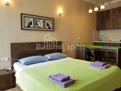 Daire 29 m² Daire - Zuraba Gorgiladze, Batumi, Gürcistan