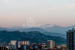 Daire 33.1 m² Daire - Şalva Inasaridze, Batumi, Gürcistan