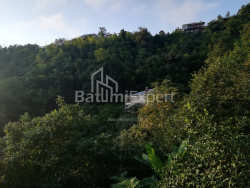 Mesken 2501 m² Daire - Akaki Shainidze, Khelvachauri, Gürcistan