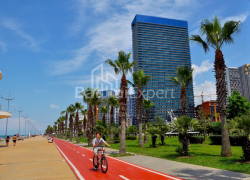 Daire 2-oda 50 m² - Şerif Khimshiashvili, Batumi