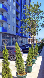 Daire 30 m² Daire - Şerif Khimshiashvili, Batumi, Gürcistan