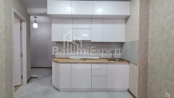 Daire 3-oda 60 m² - Şalva Inasaridze, Batumi