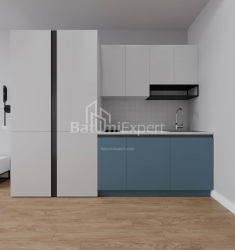 Daire 1-oda 30.3 m² - Şalva Inasaridze, Batumi