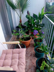 Daire 1-oda 31.8 m² - Angisa, Batumi
