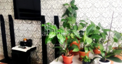Daire 64 m² Daire - Selima Khimshiashvili, Batumi, Gürcistan